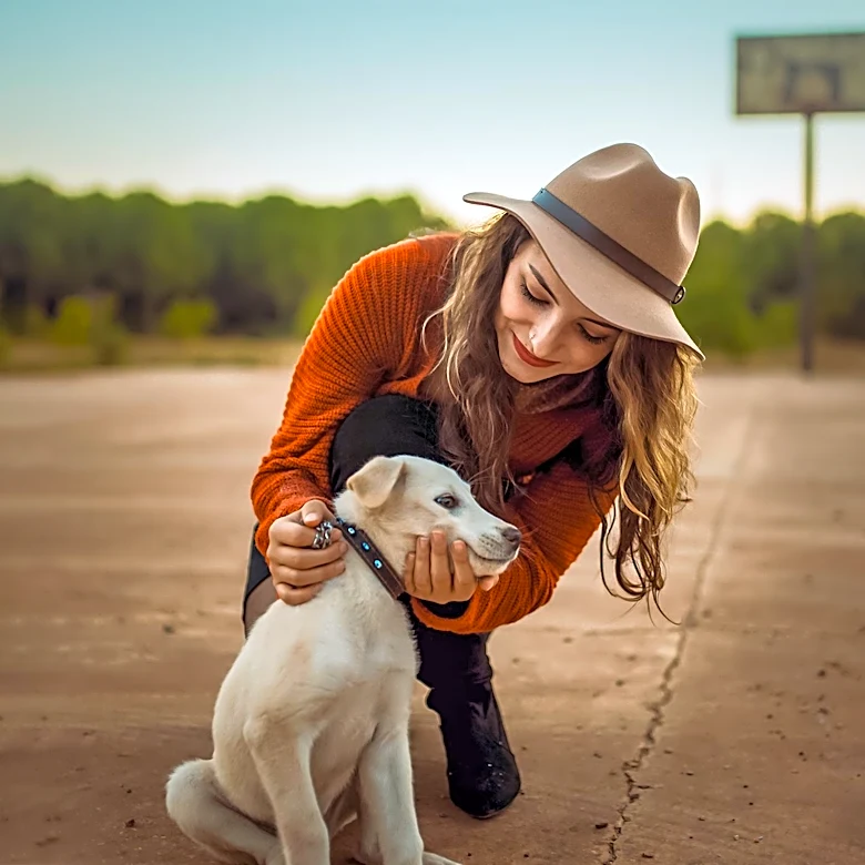 Yuma County Seeks Animal Control Officer to Enforce Animal Care Laws