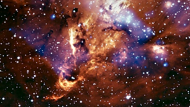 James Webb Space Telescope Reveals 'Treasure Chest' in Carina Nebula