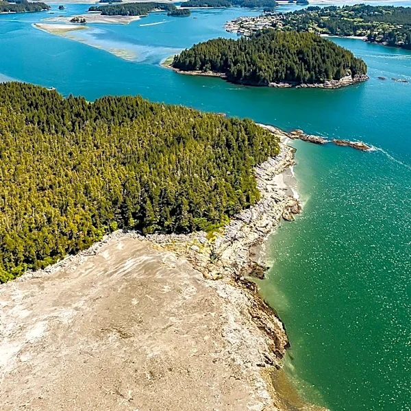 North Coast Temperate Rainforest Loss Highlighted by Aerial Photography