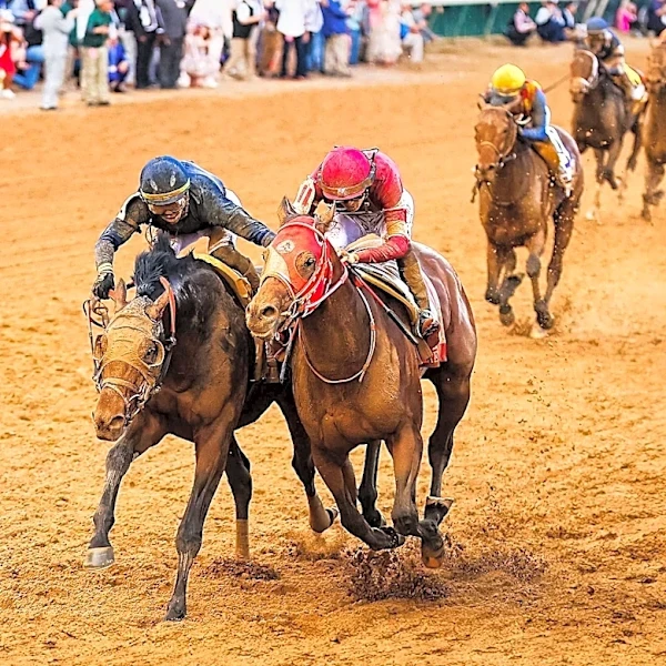 Palio Commission Approves Horses for Upcoming Siena Race