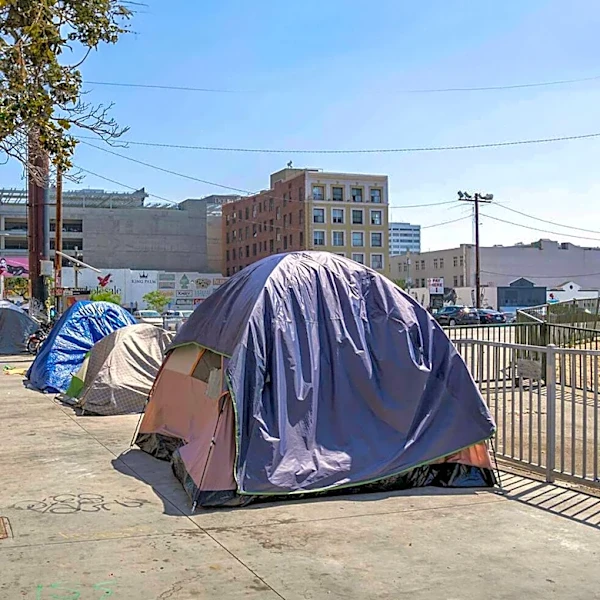 Los Angeles Mayoral Candidate Nithya Raman to Lose Homelessness Committee Chair Amid Election Campaign
