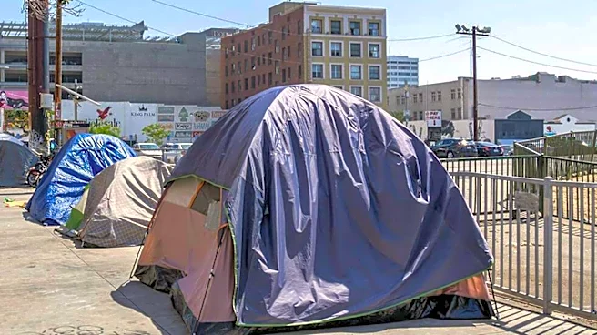 Los Angeles Mayoral Candidate Nithya Raman to Lose Homelessness Committee Chair Amid Election Campaign