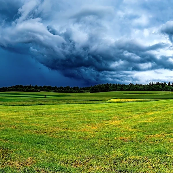 Severe Thunderstorm Warnings Issued Across Maryland Amid Heatwave
