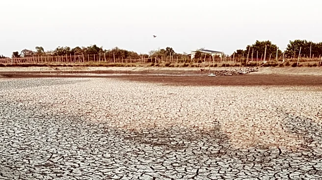 USDA Designates 57 Kentucky Counties as Natural Disaster Areas Due to Drought