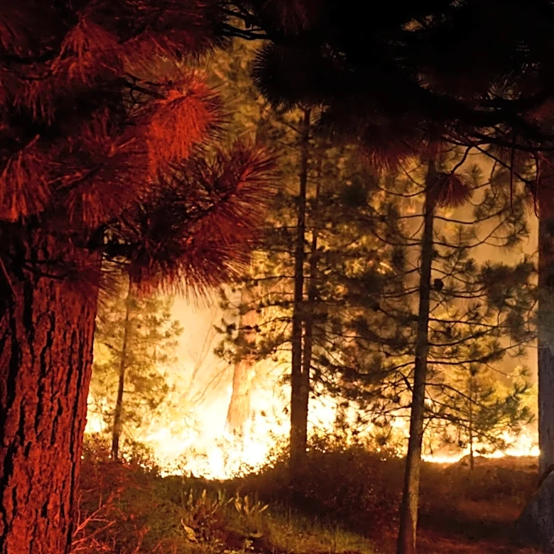 Rep. Teresa Leger Fernández Highlights Wildfire and Water Issues in New Mexico