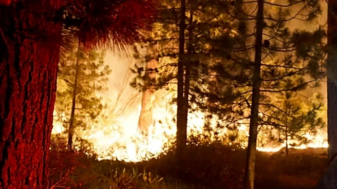 Rep. Teresa Leger Fernández Highlights Wildfire and Water Issues in New Mexico