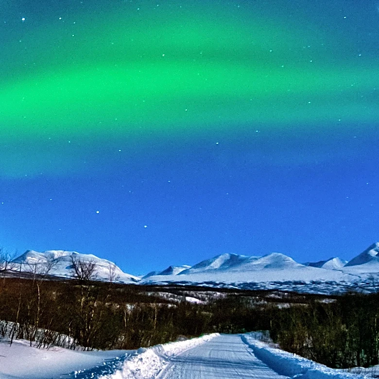 Tromsø Northern Lights Tour Offers Unique Aurora Experience
