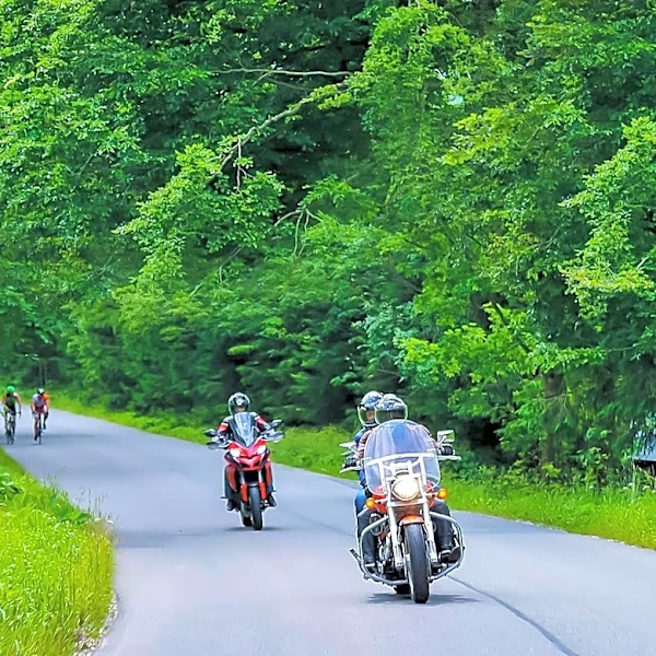 Maine Motorcyclist Dies After Collision with Deer in Newry