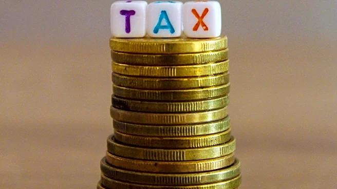 Candidates Compete for Florida House District 113 Amid Property Tax Debate
