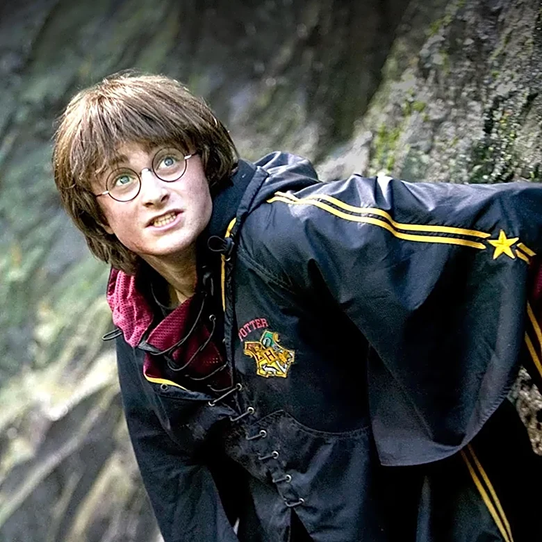 Harry Potter Fans Influence Rerouting of Major Power Project