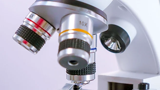 ONE Microscopy Technique Enhances Protein Imaging for Scientific Research