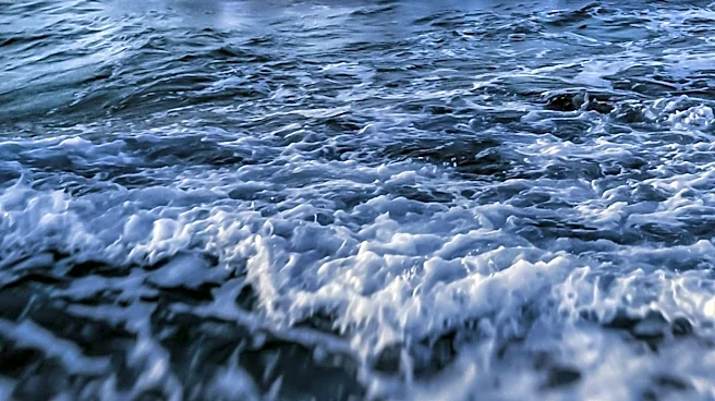 World Meteorological Organization Highlights Extreme Weather Patterns and Their Impacts