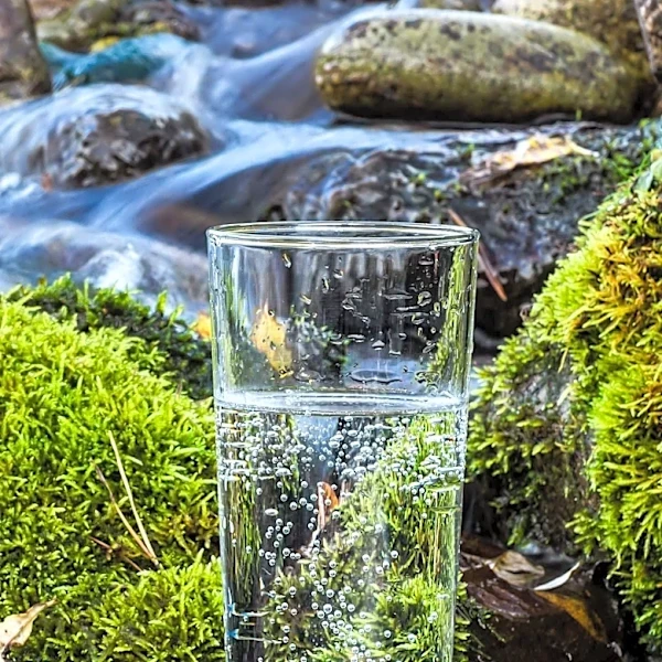 Trace Selenium Levels Detected in Wailuku Water System, No Immediate Health Risk