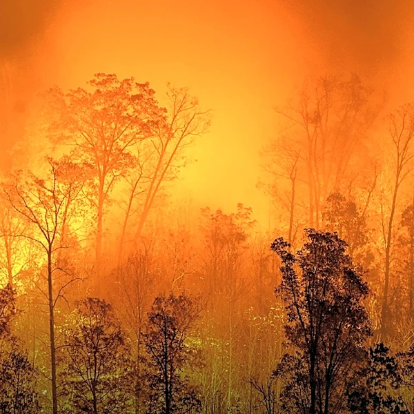 Grasshopper Fire Prompts Evacuations and Highway Closures in Oregon