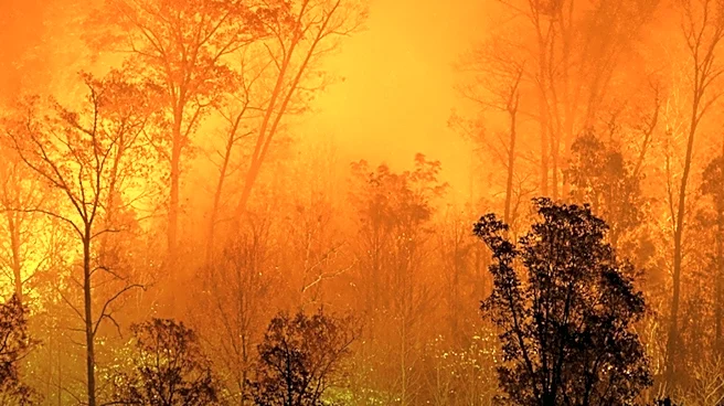 Grasshopper Fire Prompts Evacuations and Highway Closures in Oregon