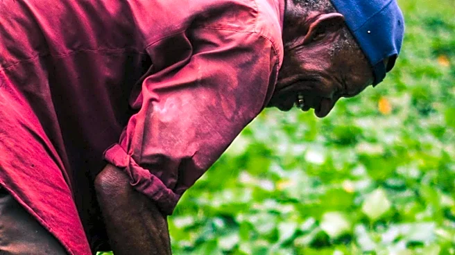 Oxfam International Enhances Climate Resilience in Central America Through Local Partnerships