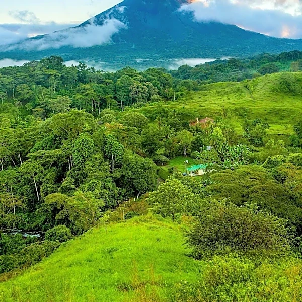 Costa Rica Hosts FIDE-ISCF World Schools Team Championship, Promoting Chess Education