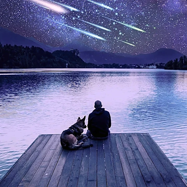Perseid Meteor Shower to Peak with Optimal Viewing Conditions in August 2026