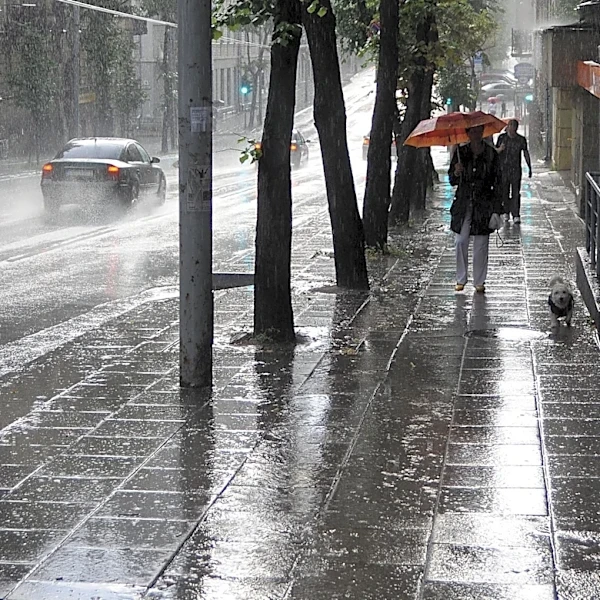 Typhoon Dolphin Triggers Heavy Rain and Alerts in Beijing