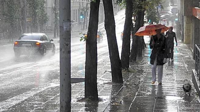 Typhoon Dolphin Triggers Heavy Rain and Alerts in Beijing