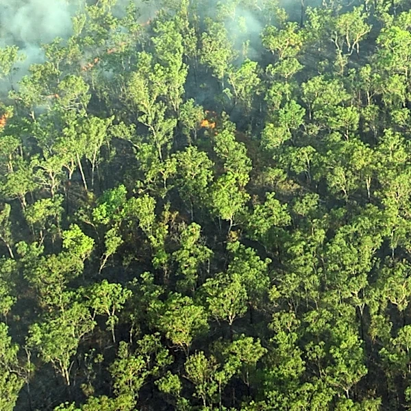 Weiser Knoll Fire Becomes Wyoming's Largest Wildfire of 2026, Prompting Evacuations