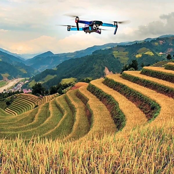 AI in Rural Healthcare: Opportunities and Concerns