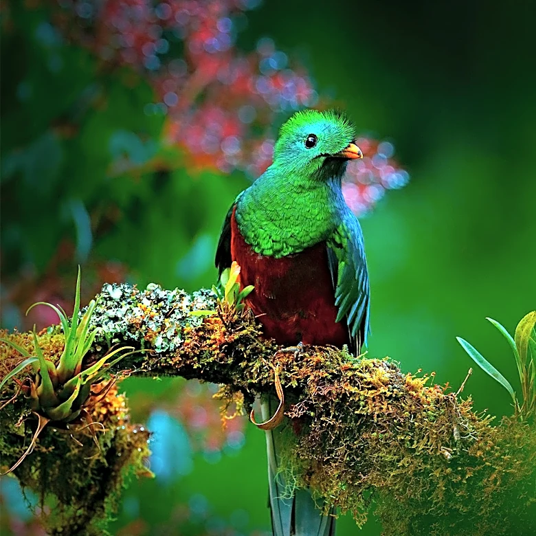 Guatemala Confirms New 10-Quetzal Banknote Release for February 2024