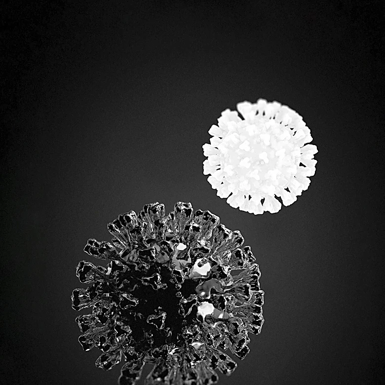 SLC29A3/ENT3 Identified as Key in Autophagic Clearance of Viral Particles