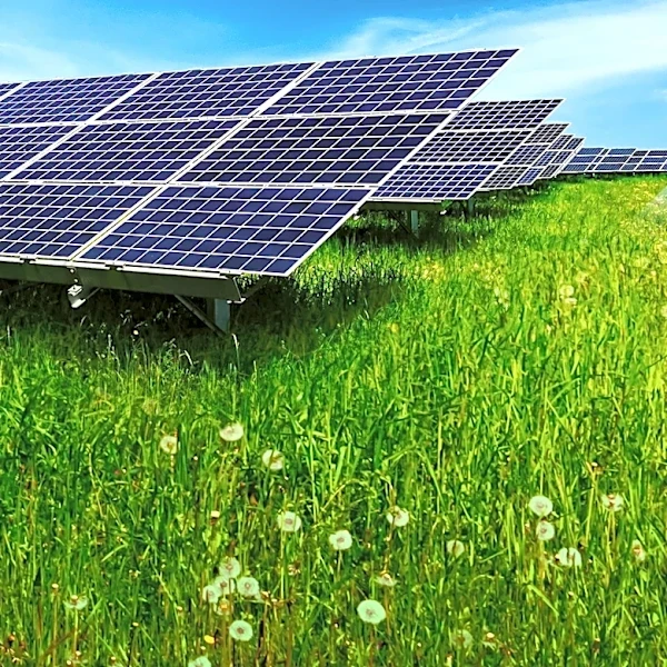 Illinois Faces Challenges in Converting Old Coal Sites to Solar Farms