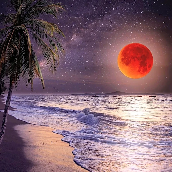 Christopher Columbus Uses Lunar Eclipse to Secure Survival in Jamaica