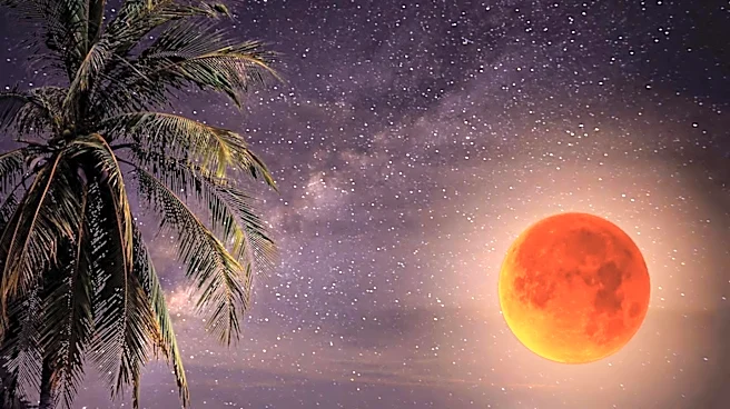 Christopher Columbus Uses Lunar Eclipse to Secure Survival in Jamaica