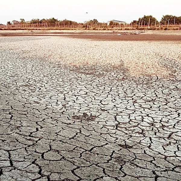 Somalia Faces Humanitarian Crisis as Drought Forces Millions into Displacement Camps
