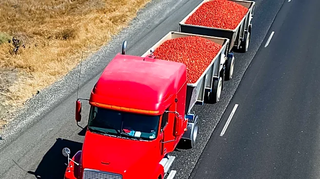 Semi Hauling Cattle Crashes on I-80 Onramp in Parleys Canyon