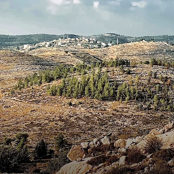 JPPI Poll Reveals Divided Israeli Opinions on West Bank Annexation