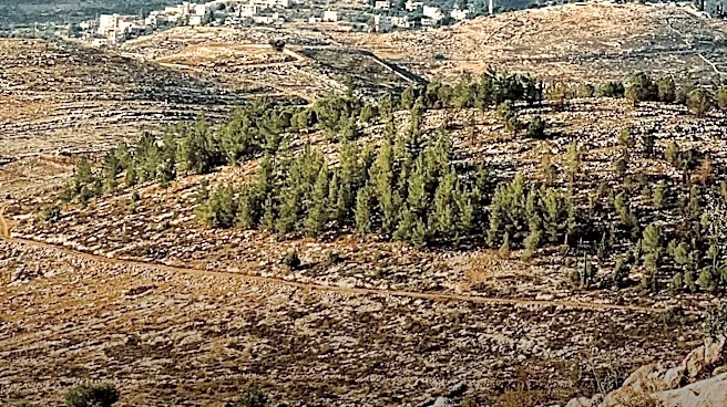 JPPI Poll Reveals Divided Israeli Opinions on West Bank Annexation