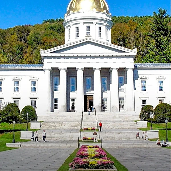 Economist Amanda Janoo Wins Democratic Primary, Faces Gov. Phil Scott in Vermont Election