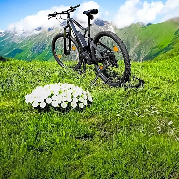 Colorado's E-Bike Tax Credit Program Faces Controversy Amid Bear Trail Bikes Investigation
