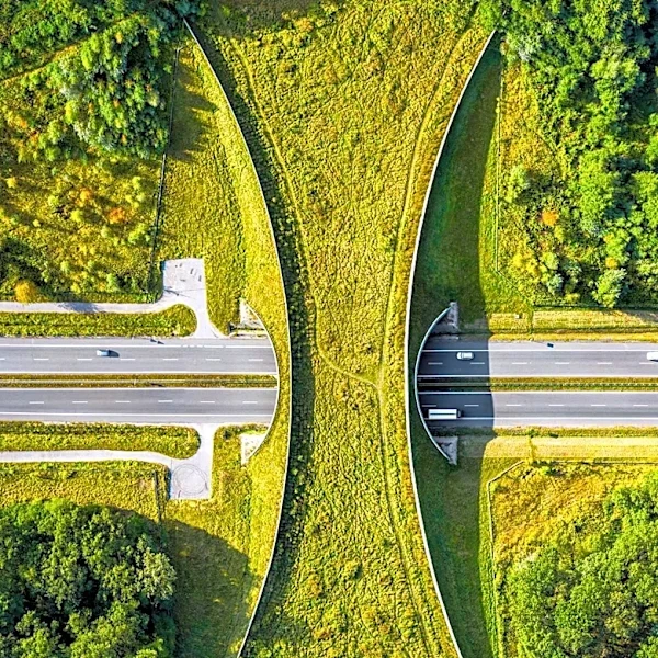 Louisiana DOTD Takes Over Highway Vegetation Maintenance in Ascension Parish
