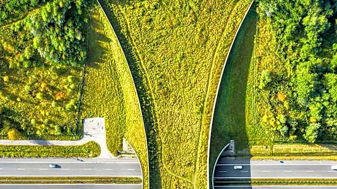 Louisiana DOTD Takes Over Highway Vegetation Maintenance in Ascension Parish