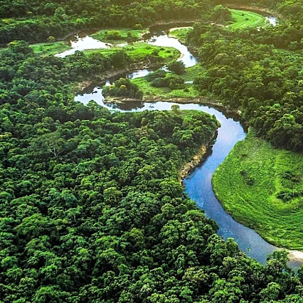 Brazil's Deforestation Increases Vulnerability to El Niño Impacts