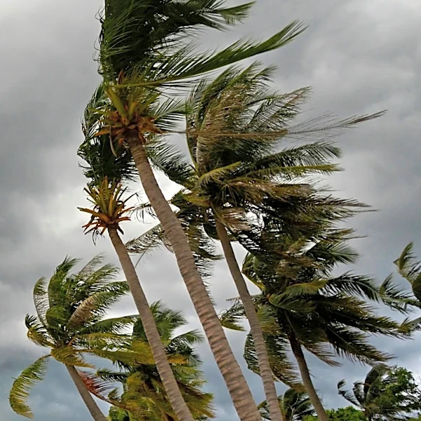 Developing Storm System Approaches Hawaii, Potential for Tropical Storm Conditions