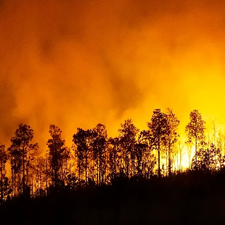 Rain and Cooler Temperatures Expected to Clear Wildfire Smoke in Central Wyoming