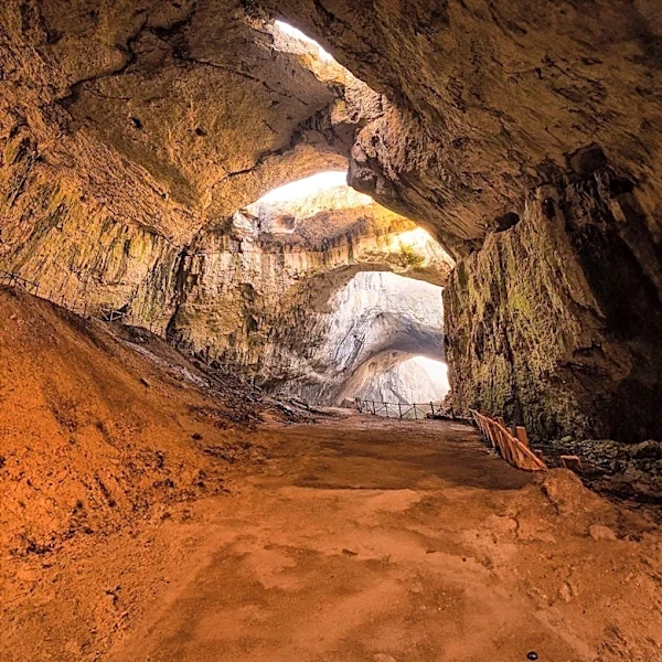 New 'Demon Cavefish' Discovered in Alabama Cave Under Army Base