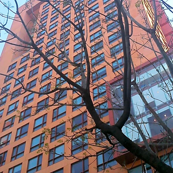 Kips Bay Tenant Rights Clash with NYC Housing Development Plans