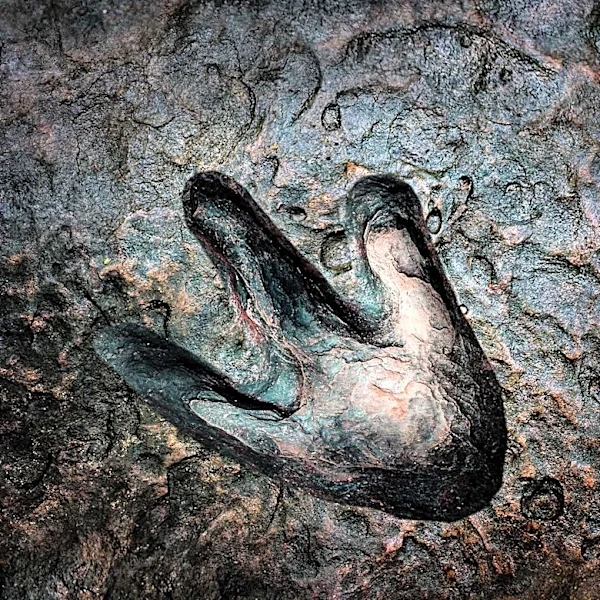 Hikers Discover 280-Million-Year-Old Reptile Footprints in Italian Alps