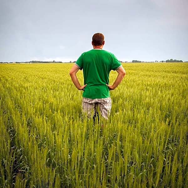 Maine Launches Mental Health Network to Support Farmers Amid PFAS Crisis