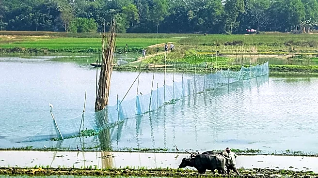 Bangladesh Develops Agricultural Carbon Credit Framework to Reduce Emissions