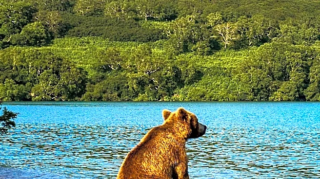 Study Challenges Effectiveness of Dogs as Bear Deterrents in Bear Country