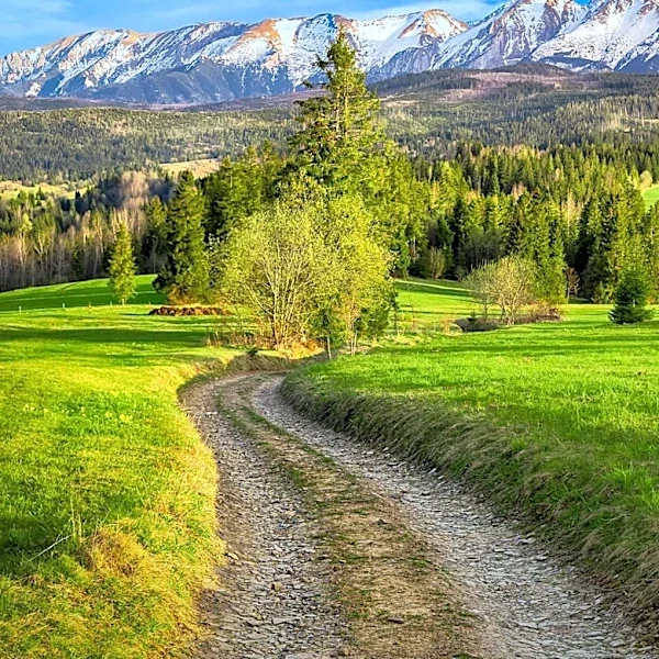 BBC Journalist Praises Polish Tatra Mountains as Affordable Alpine Alternative