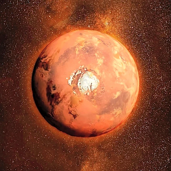 Martian Meteorite Suggests Mars Lost Water Over 4 Billion Years Ago